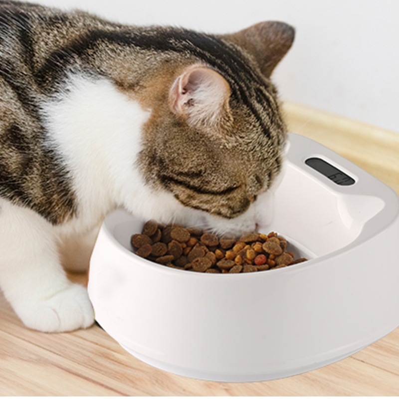 450ml Smart Feeding Pet Bowl