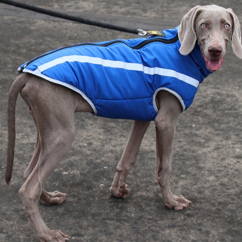 Fabricante atacado ao ar livre estilo fresco altamente reflexivo tópicos jaqueta de cão casacos à prova d\'água