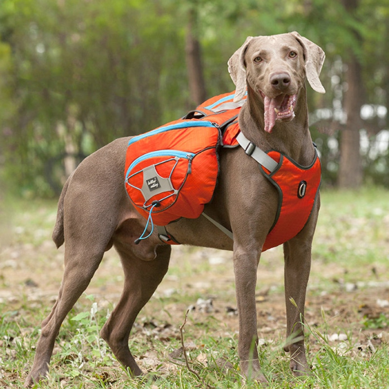 Novo Design Reflexivo Roupas De Cão Com Arnês Quente Grande Animal de Estimação De Venda Windbreaker Winter Dog Jacket