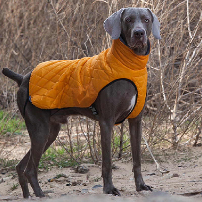 Amazon Hot Sale New Pet Roupas de cão Roupa Outono e Inverno Espessado Sweater Elastic Pet Sweater