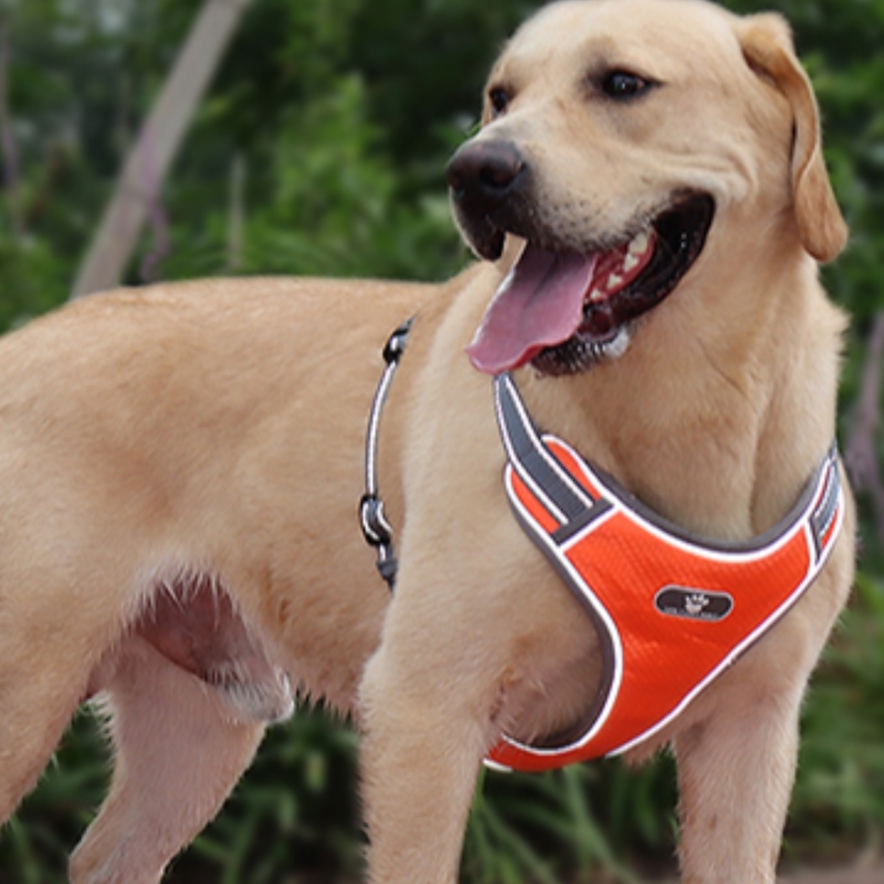 Atacado OEM fabricação personalizado high end harness luxo cão de estimação reversível arnês reflexivo chicote de cachorro reflexivo